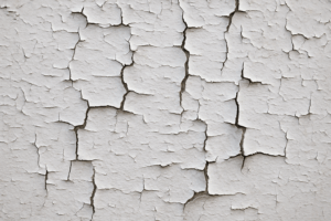 Read more about the article Forgotten Secrets: Lead Paint