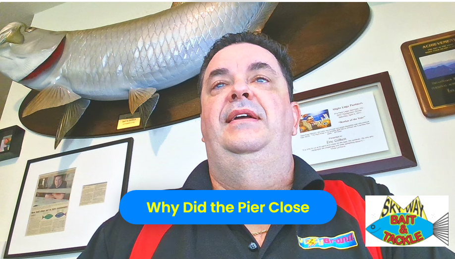 You are currently viewing Skyway Pier Closed for Pelicans 